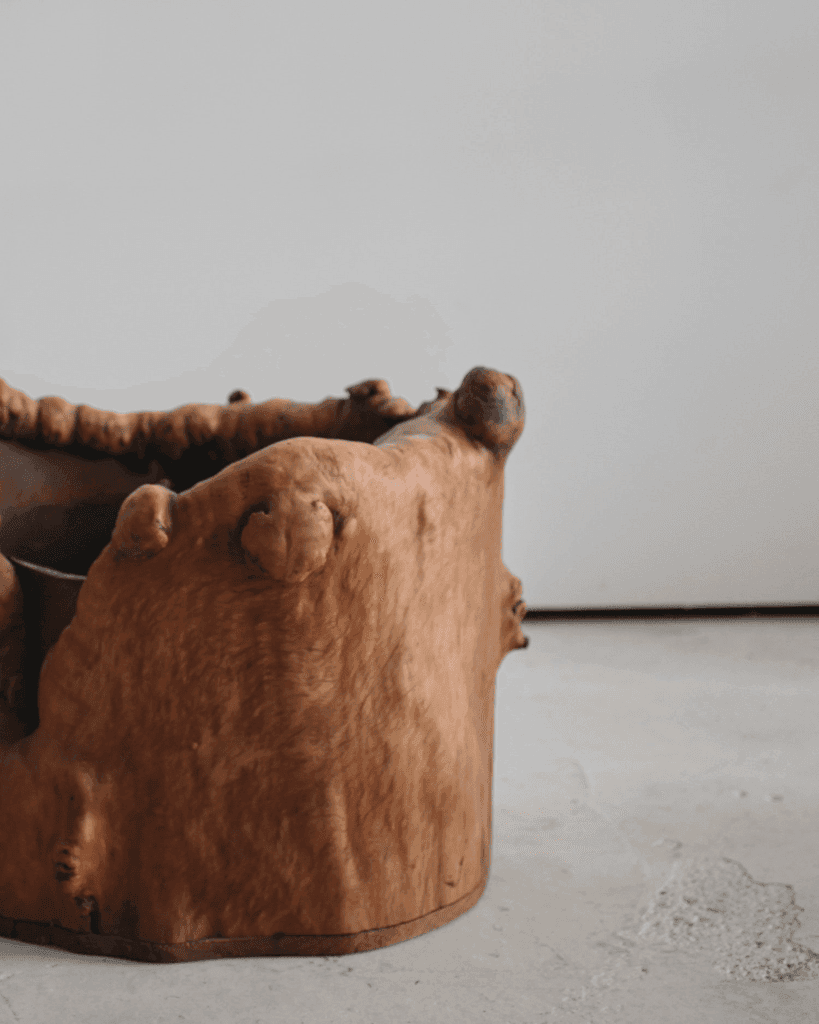 Primitive Japanese Root Planter (1)