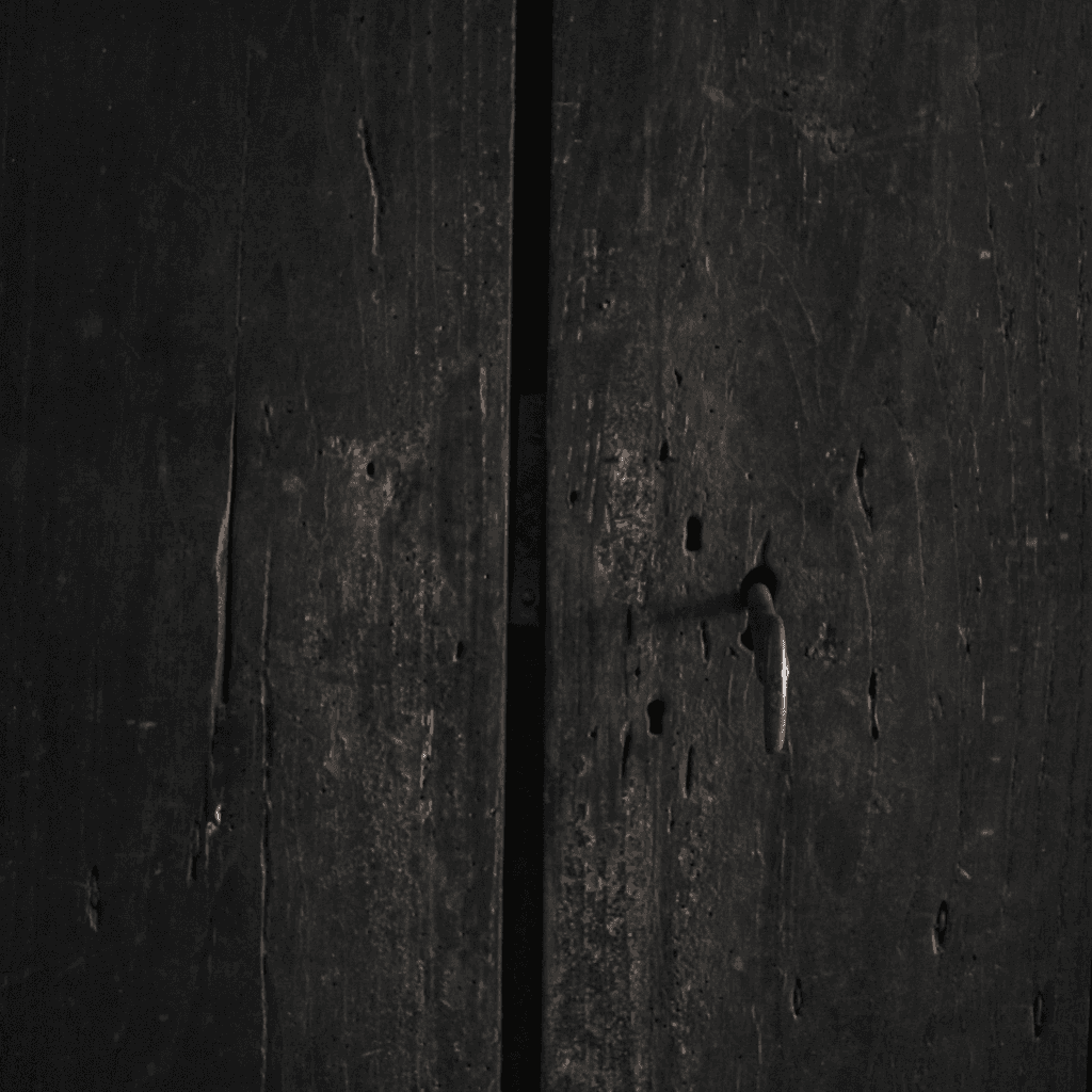 XXL 17th C. Portuguese Mountain Cupboard In Blackened Chestnut